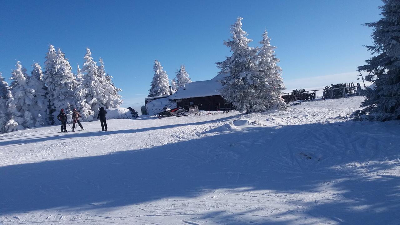 Apartment Maja Konaci Kopaonik Exteriér fotografie